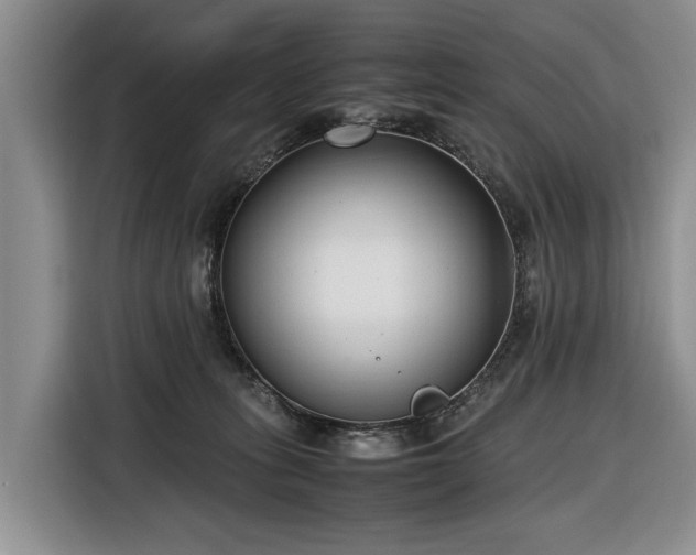 X0000116660275200912211513