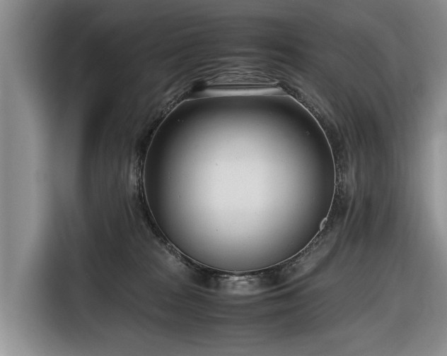 X0000116660277200912211513