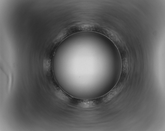 X0000116660278200912211513