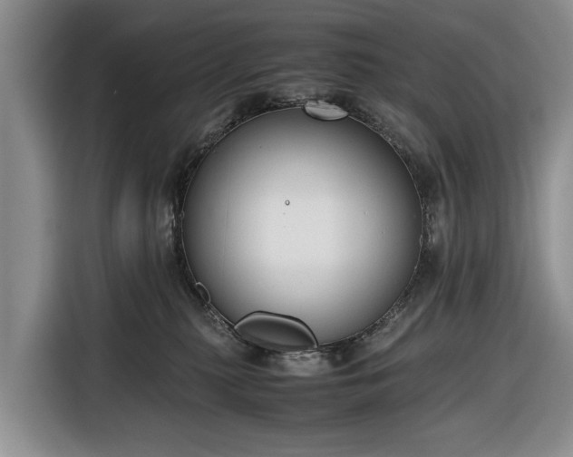 X0000116660279200912211513