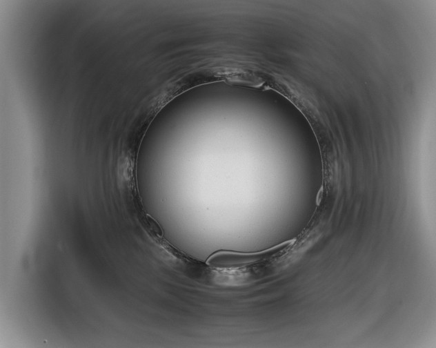 X0000116660281200912211513