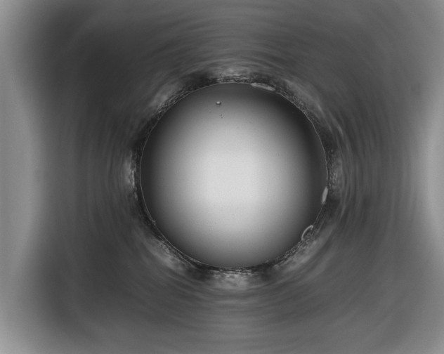 X0000116660282200912211513