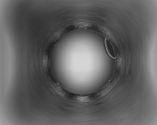 X0000116660283200912211513