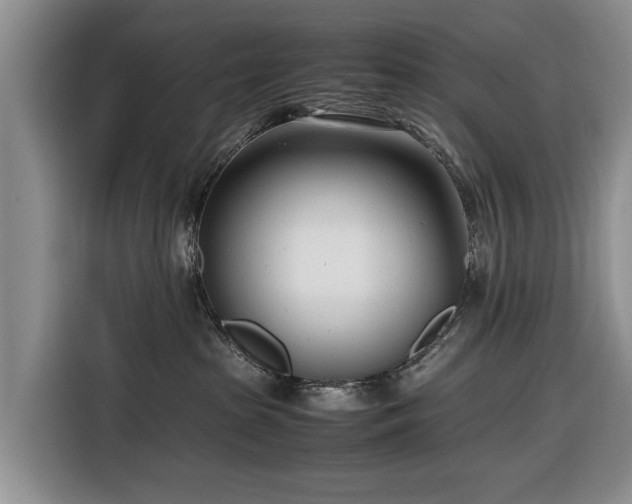 X0000116660285200912211513