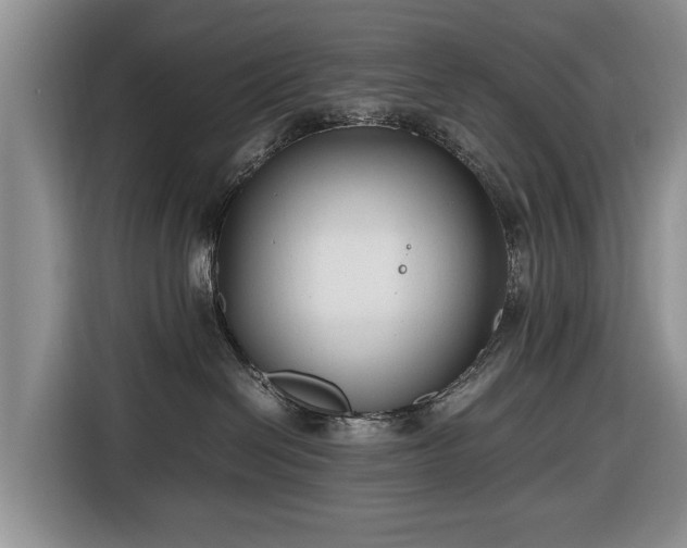 X0000116660286200912211513