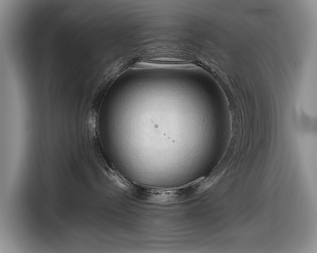 X0000116660288200912211513