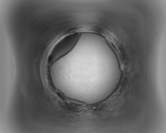 X0000116660289200912211513