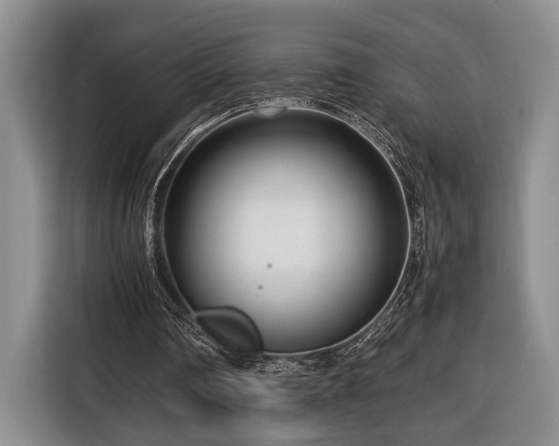 X0000116660290200912211513