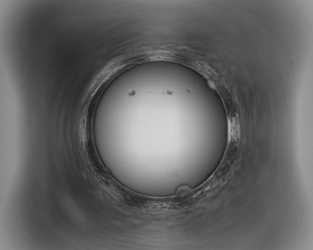 X0000116660291200912211513