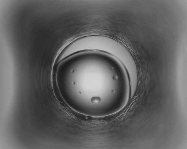 X0000116660292200912211513