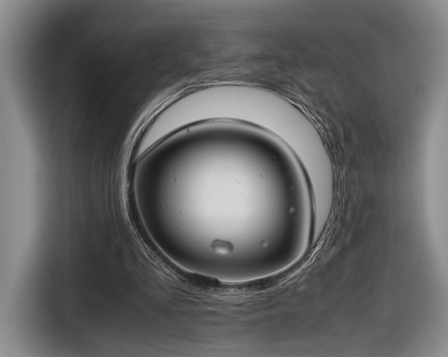 X0000116660293200912211513