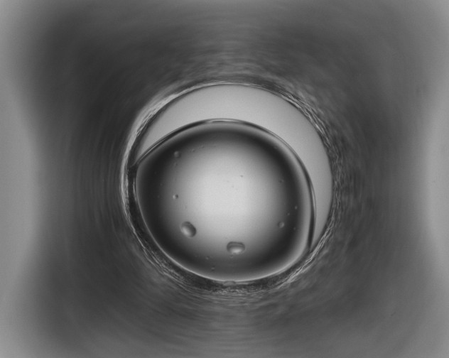 X0000116660294200912211513