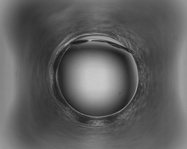 X0000116660295200912211513