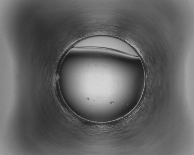 X0000116660297200912211513