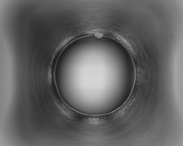 X0000116660298200912211512