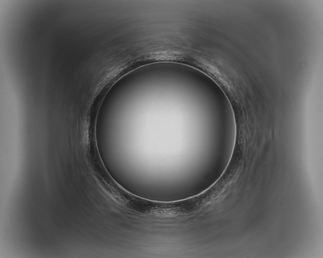 X0000116660299200912211512