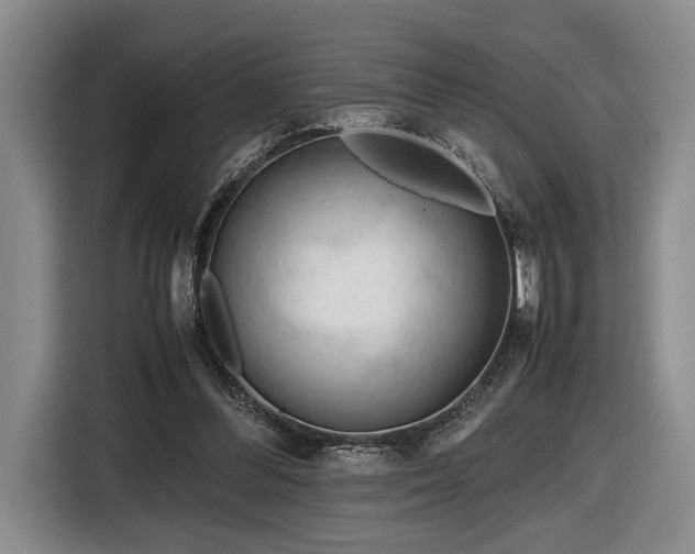 X0000116660300200912211512