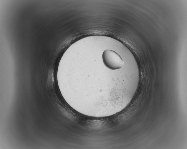 X0000116660302200912211512