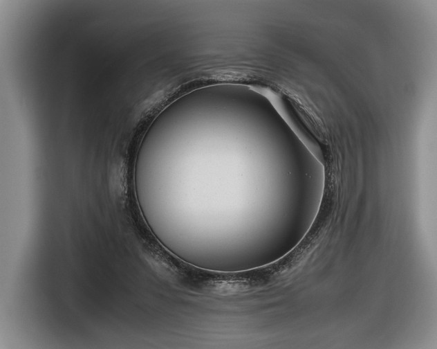 X0000116660303200912211512