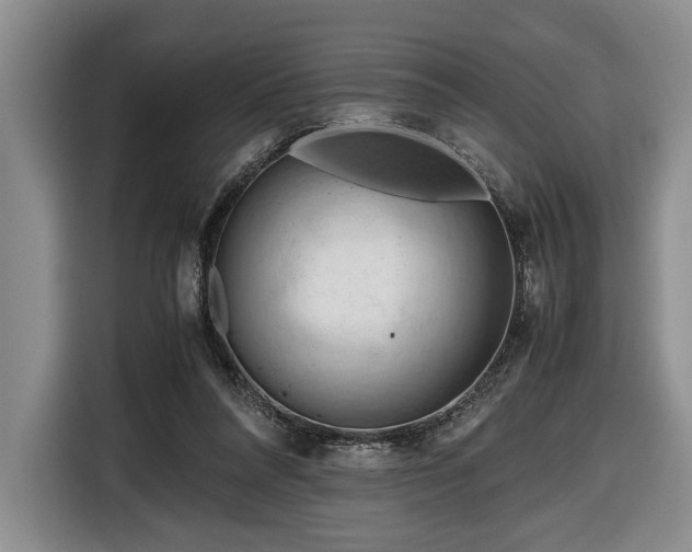 X0000116660304200912211512