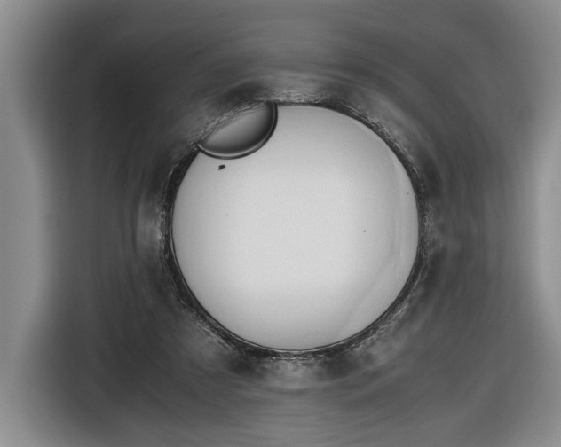 X0000116660305200912211512