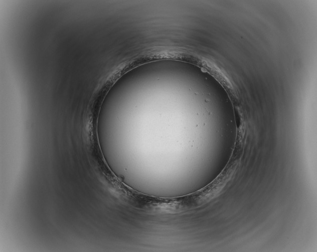 X0000116660306200912211512