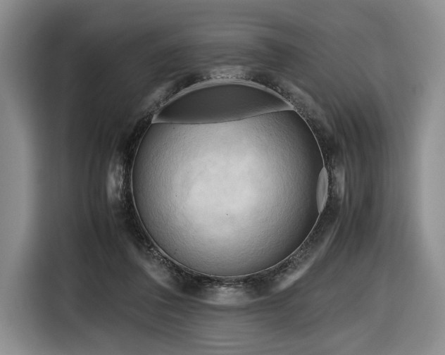 X0000116660308200912211512