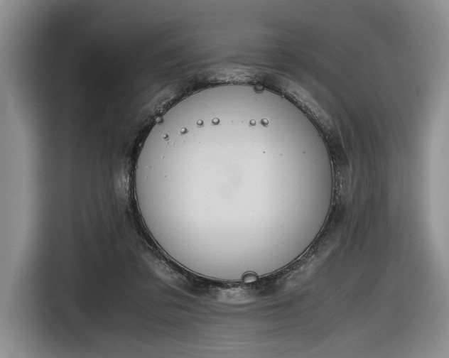 X0000116660309200912211512