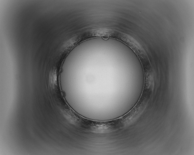 X0000116660310200912211512