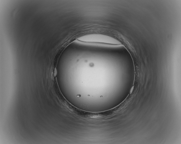 X0000116660313200912211512