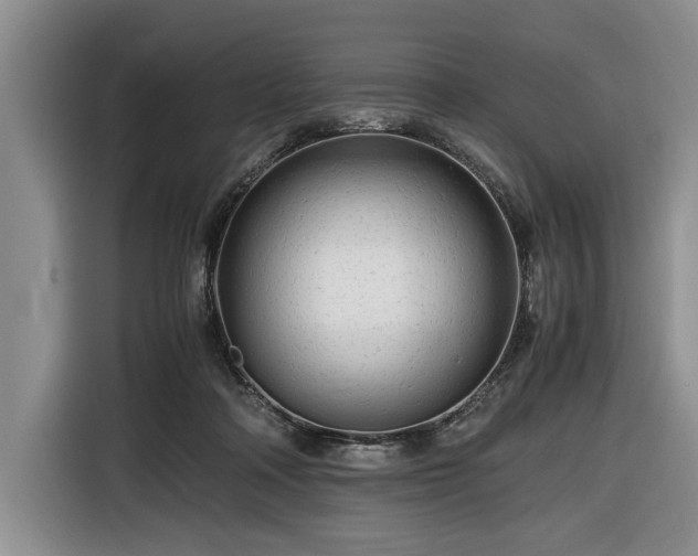 X0000116660314200912211512