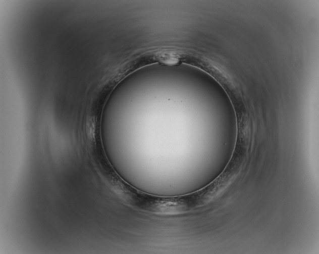 X0000116660315200912211512