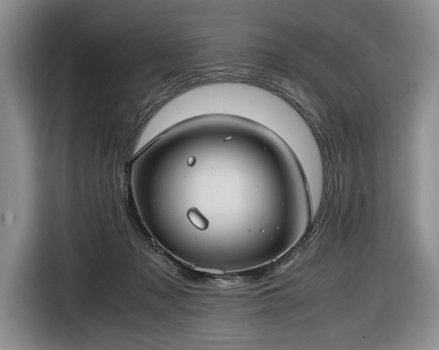 X0000116660317200912211512