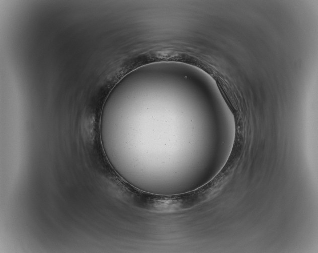 X0000116660319200912211512