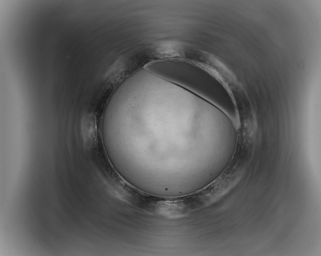 X0000116660320200912211512