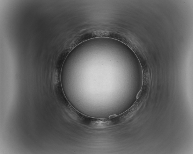 X0000116660323200912211512