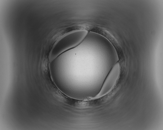 X0000116660325200912211512