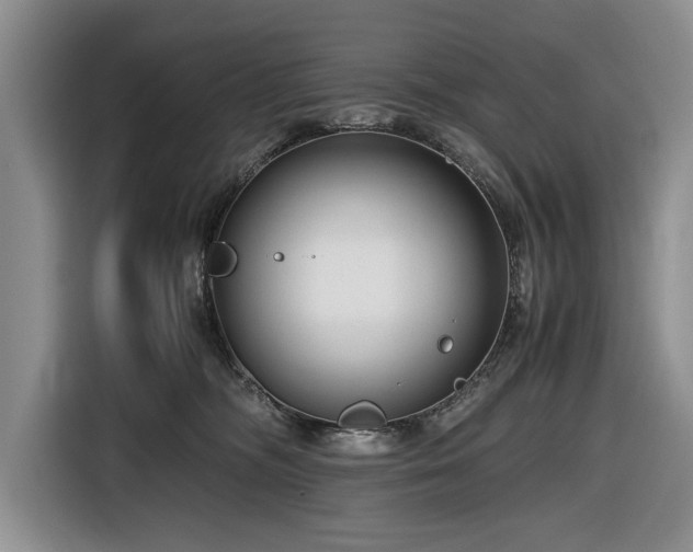 X0000116660326200912211512