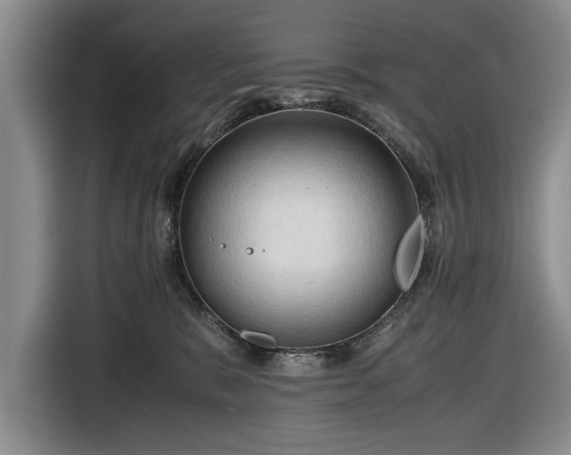 X0000116660327200912211512