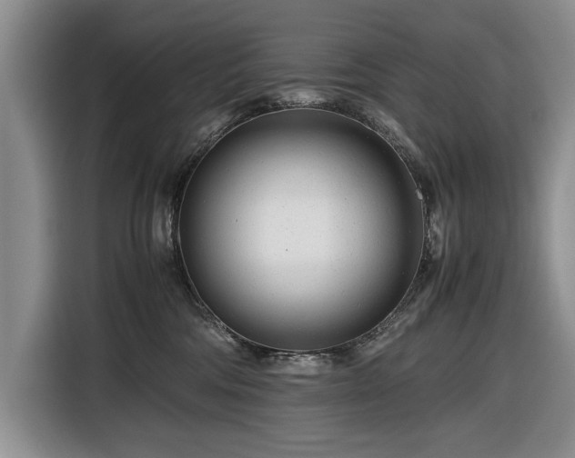 X0000116660330200912211512