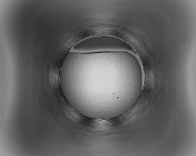 X0000116660333200912211512