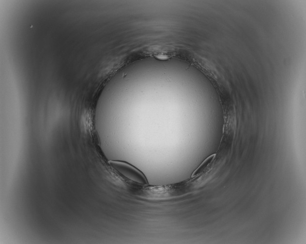 X0000116660335200912211512