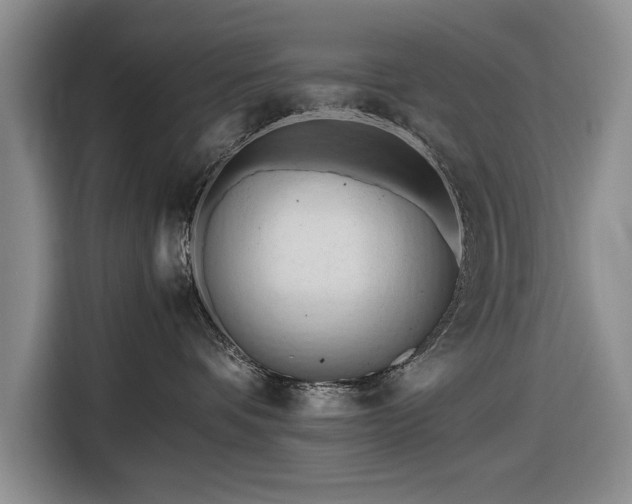 X0000116660336200912211512