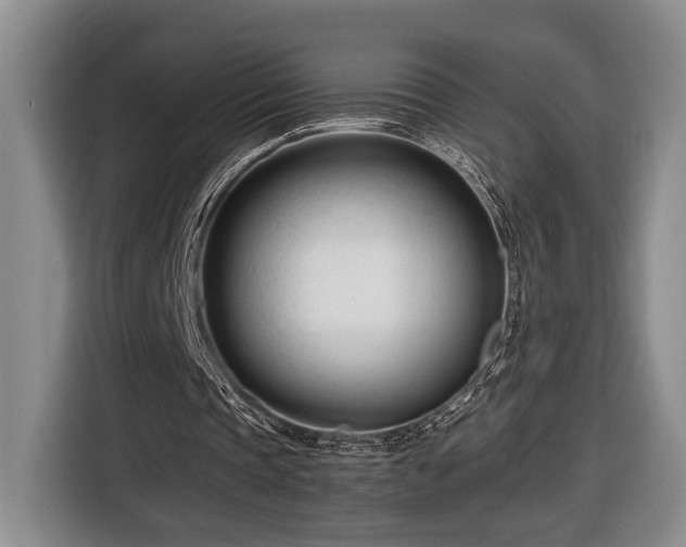 X0000116660337200912211511