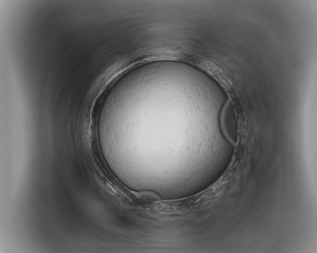 X0000116660338200912211511