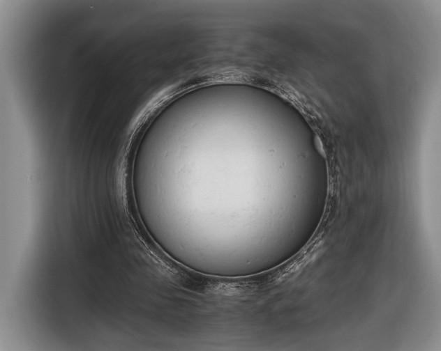 X0000116660341200912211511