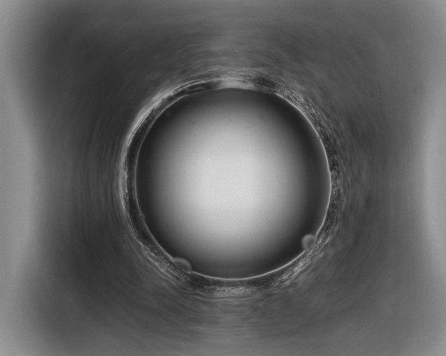 X0000116660342200912211511