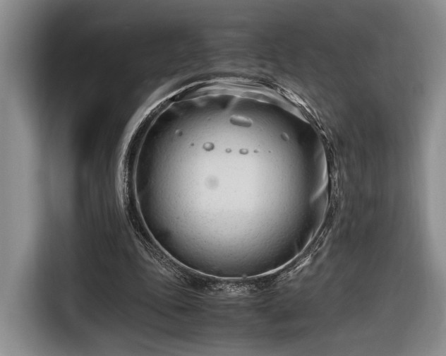 X0000116660343200912211511