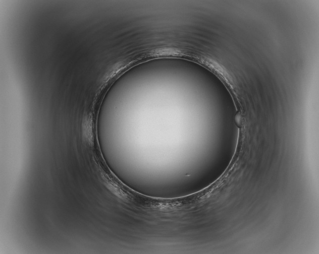 X0000116660345200912211511