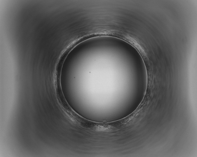 X0000116660346200912211512